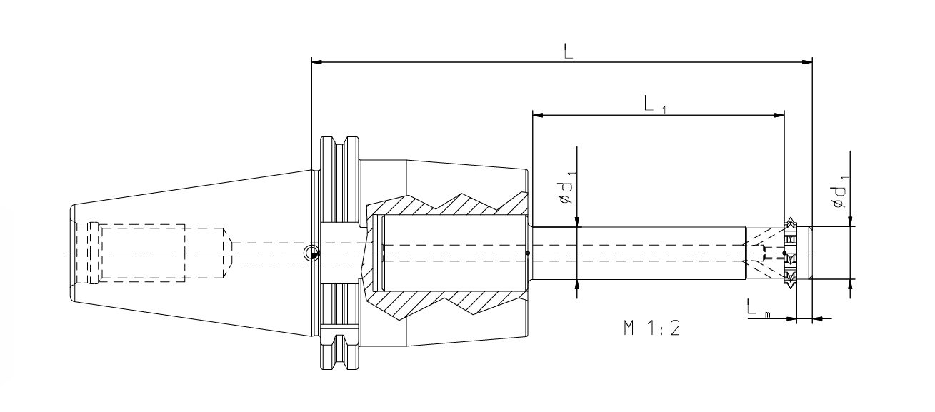 Zirkular-Fräskörper STC  25 d h6 SK50 ISO7388-1  L1=196,4