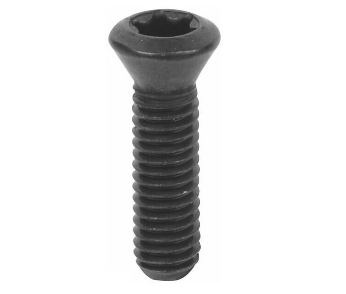 Senkschraube M4x8 T15 IP